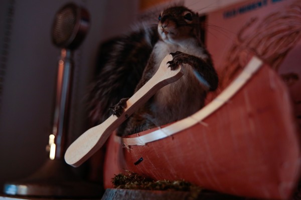 Squirrel In A Canoe